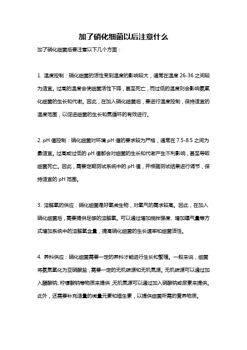 加了硝化细菌以后注意什么