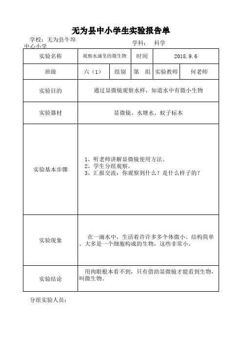 六(1)实验实验     报告单