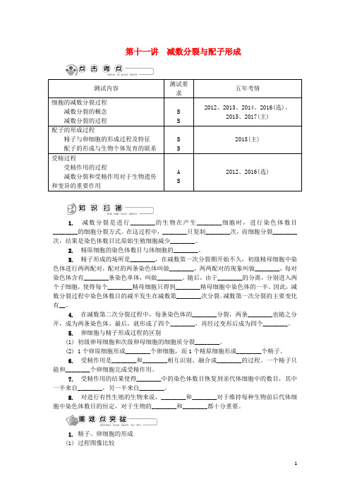 江苏省2018版高中生物第十一讲减数分裂与配子形成学案苏教版必修2