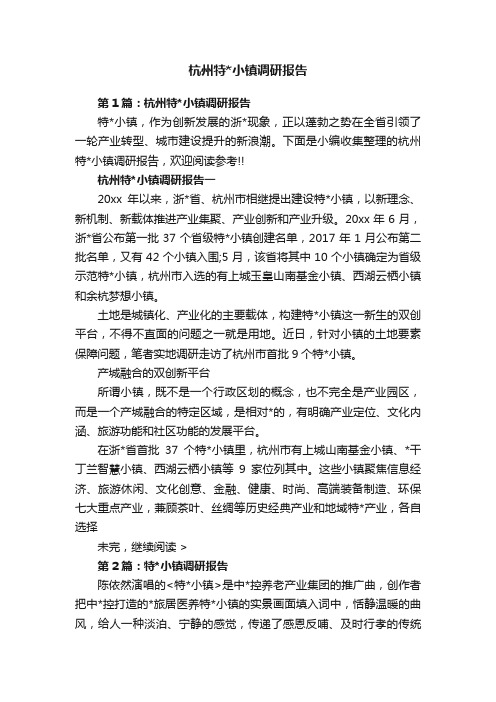 杭州特小镇调研报告