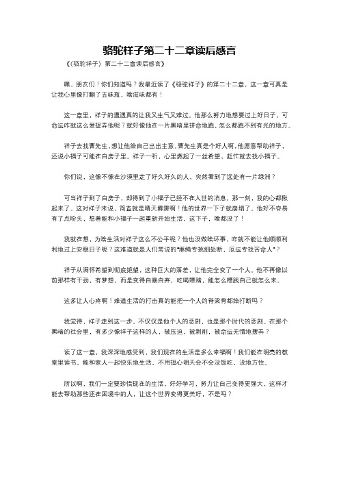 骆驼样子第二十二章读后感言