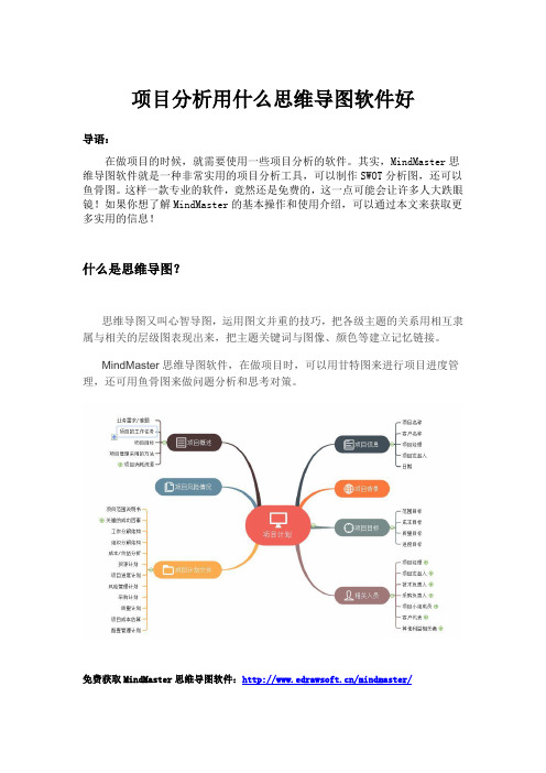 项目分析用什么思维导图软件好