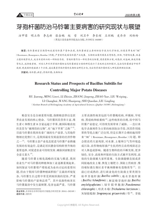 芽孢杆菌防治马铃薯主要病害的研究现状与展望