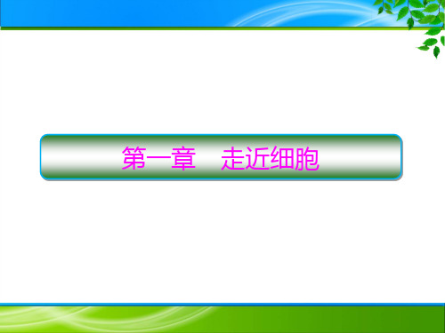 新人教版  必修1 细胞是生命活动的基本单位 课件 (共60张 )