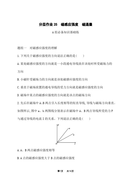 教科版高中物理必修第三册课后习题 第3章 电磁场与电磁波初步 分层作业25 磁感应强度 磁通量