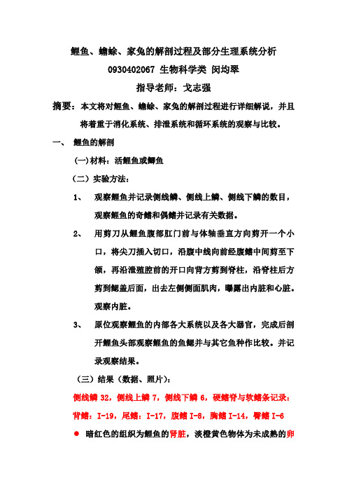 鲤鱼、蟾蜍、家兔的解剖过程及生理系统分析