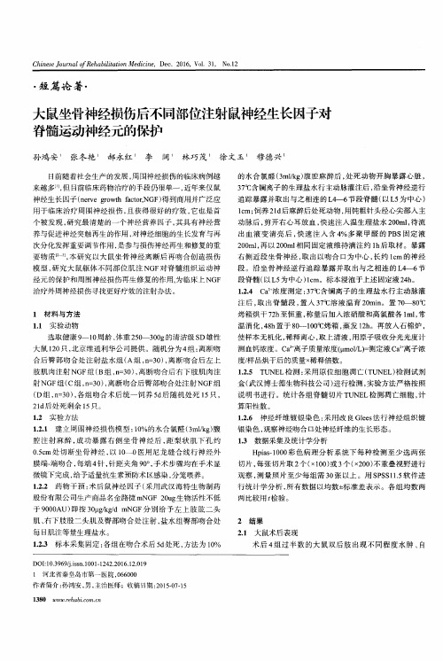 大鼠坐骨神经损伤后不同部位注射鼠神经生长因子对脊髓运动神经元的保护