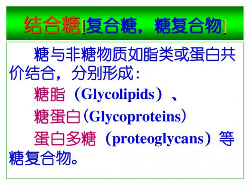 糖与糖生物化学4