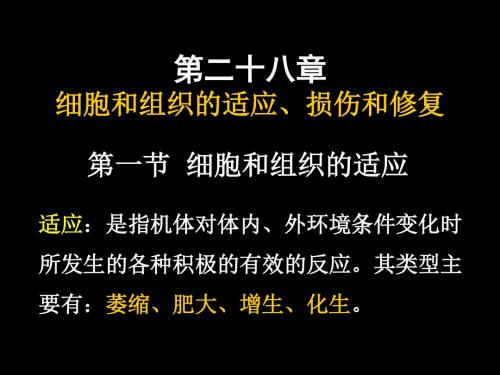 201828现代基础医学概论(第二十八章)