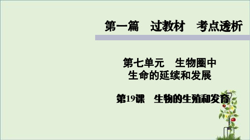 人教版七年级上册生物知识点精讲课件生物的生殖和发育