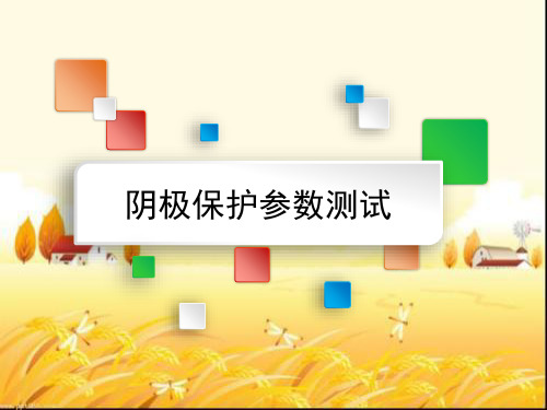 阴极保护参数测试 PPT