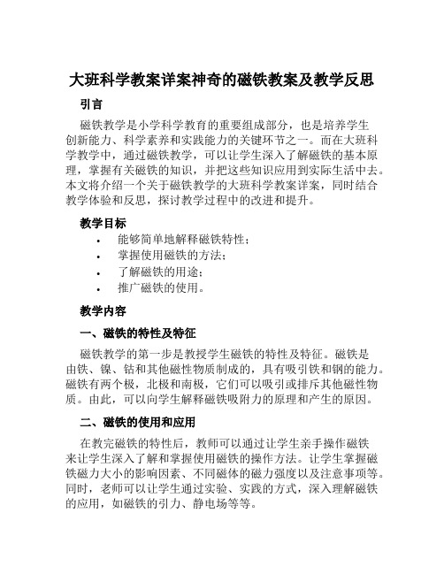 大班科学教案详案神奇的磁铁教案及教学反思