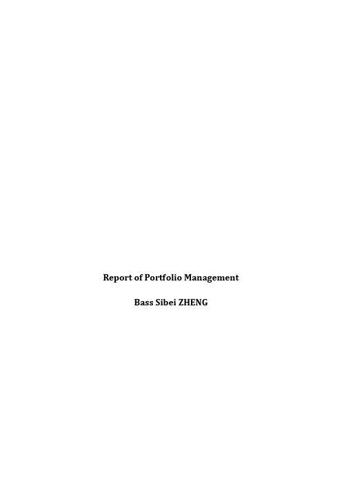 Report of Portfolio Management