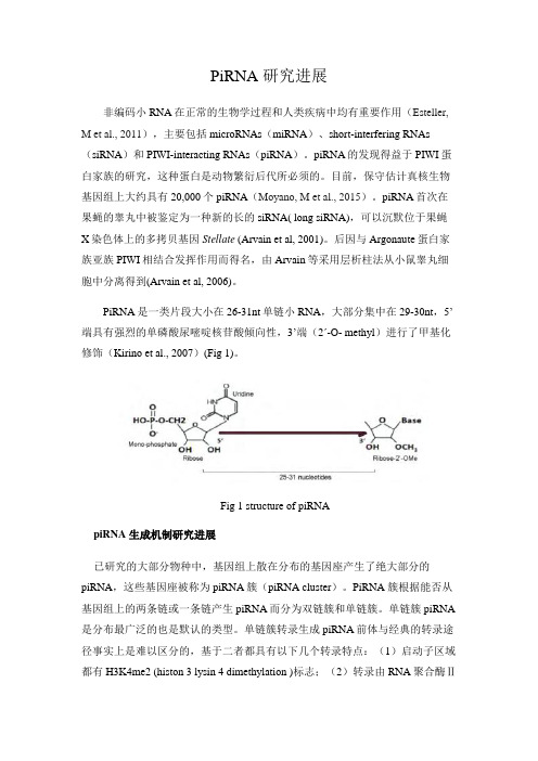 piRNA研究进展概述