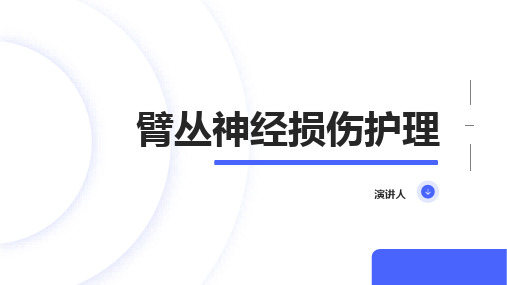 臂丛神经损伤护理课件