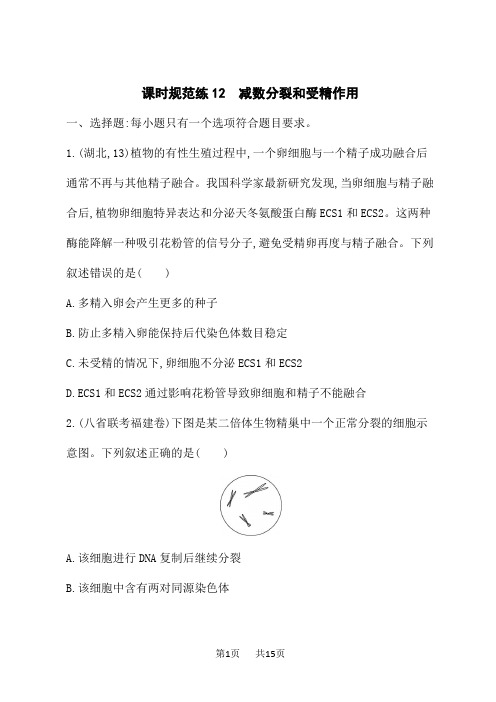 人教版高考生物学一轮总复习课后习题 第4单元 细胞的生命历程 课时规范练12 减数分裂和受精作用