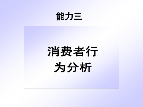 第三章消费者行为分析报告