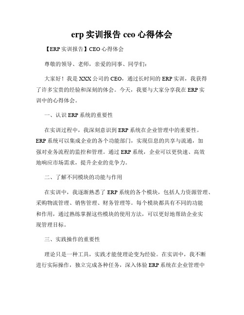 erp实训报告ceo心得体会