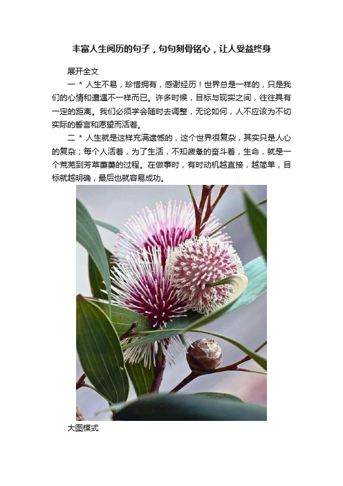 丰富人生阅历的句子，句句刻骨铭心，让人受益终身