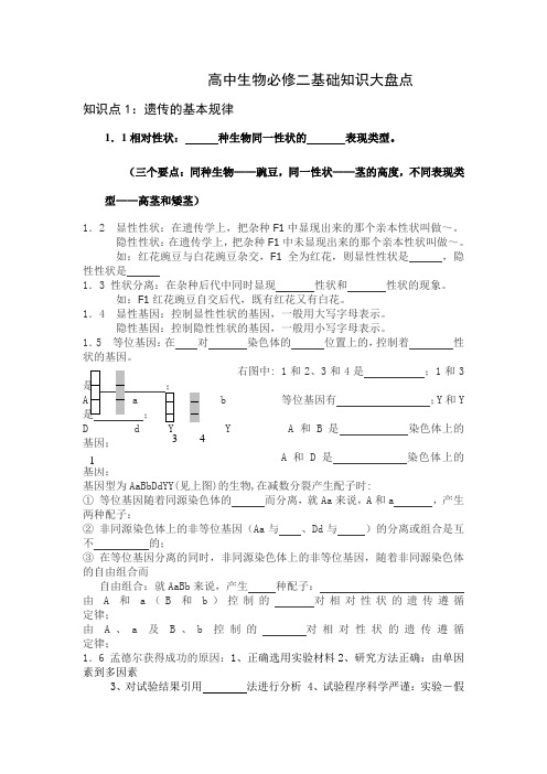 高中生物必修二基础知识大盘点