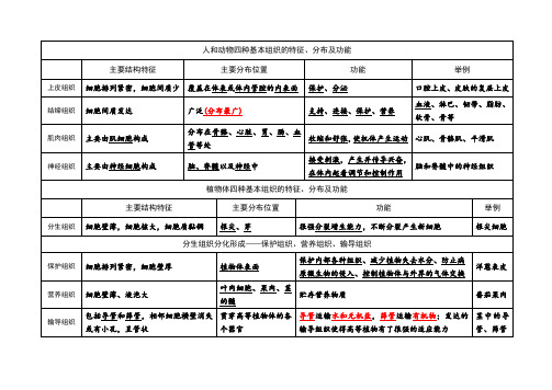 生物体的结构层次知识图表