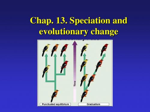 生物学导论biology13综述