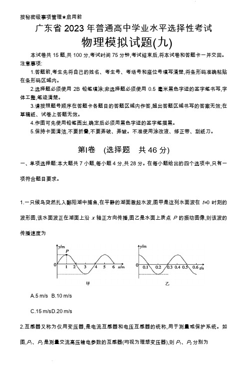 广东省2023年普通高中高三学业水平选择性考试(九)高考模拟物理试题及答案