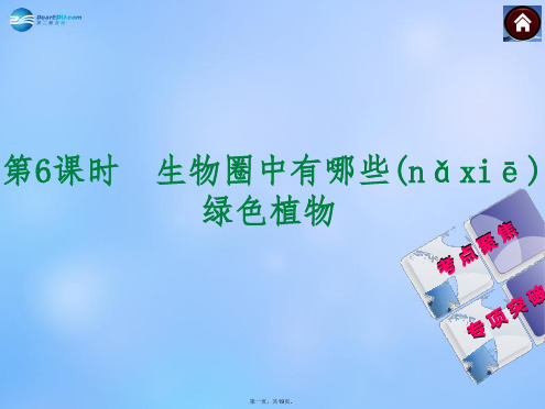 中考生物总复习 第6课时 生物圈中有哪些绿色植物课件(考点聚焦+归类探究+回归教材)