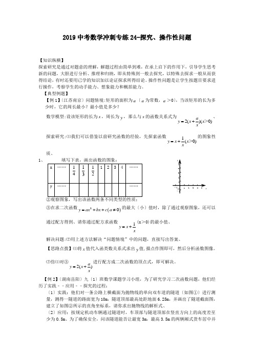 2019中考数学冲刺专练24-探究、操作性问题.doc