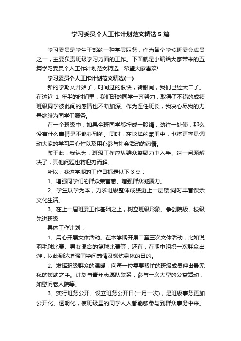 学习委员个人工作计划范文精选5篇