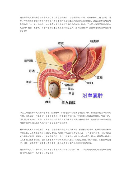 慢性附睾炎吃什么中药治疗效果好