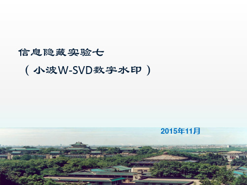 信息隐藏实验七-小波w-svd数字水印