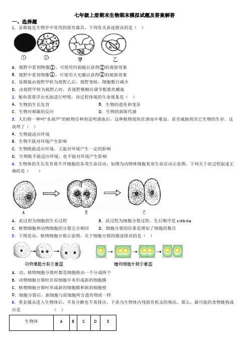 七年级上册期末生物期末模拟试题及答案解答