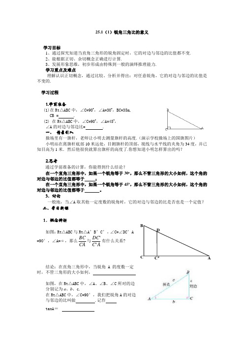 25.1锐角三角比的意义(1)