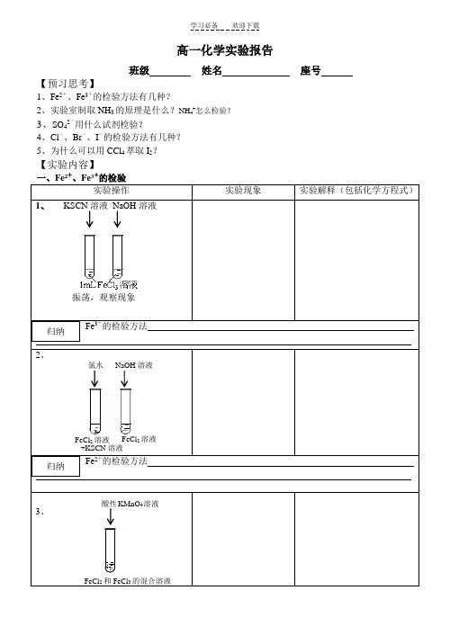 高一化学实验报告