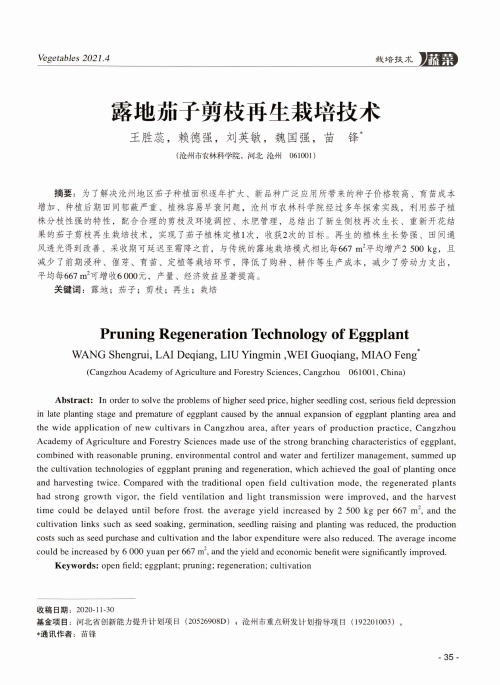 露地茄子剪枝再生栽培技术