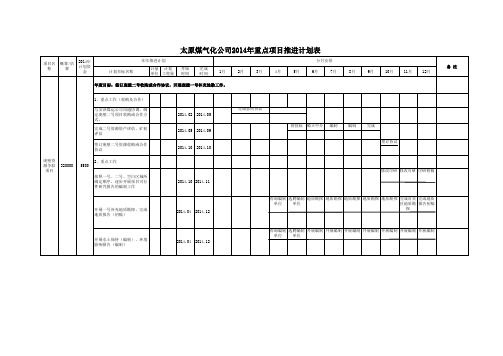 煤气化公司 重点项目推进计划表模板 (5)