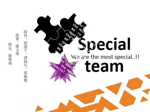 specialteam课件