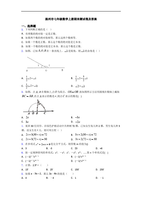 扬州市七年级数学上册期末测试卷及答案