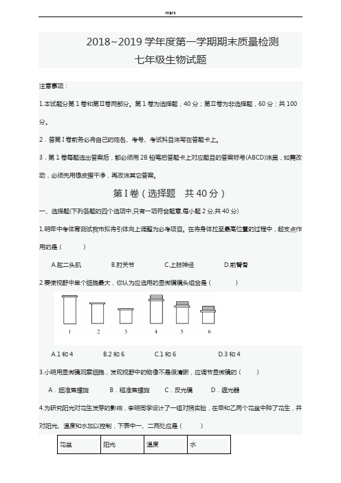 济南版七年级上册期末质量检测生物试题(含答案) -