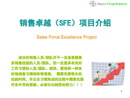 销售卓越 SFE 项目介绍 updated