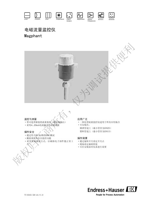 E+H  电磁流量计DTI200技术资料