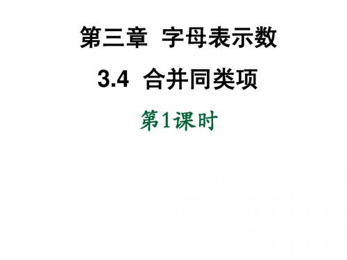 6.2合并同类项课件1