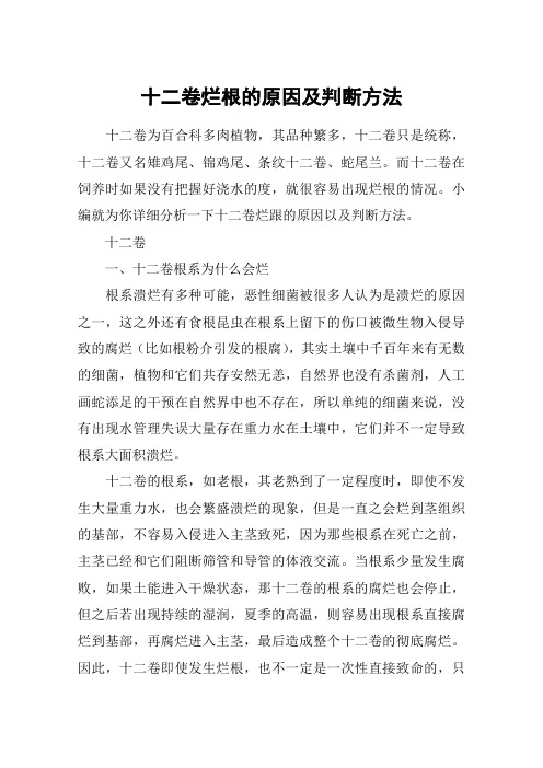 十二卷烂根的原因及判断方法