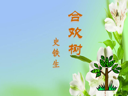 沪教版高中语文第一册合欢树213张PPT第一册课件