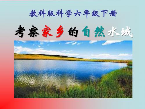 《考察家乡的自然水域》环境和我们PPT课件2
