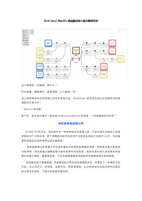 RiskCloud-BowTie领结图应用介绍与案例实战