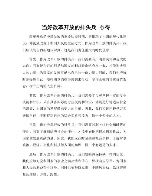 当好改革开放的排头兵 心得