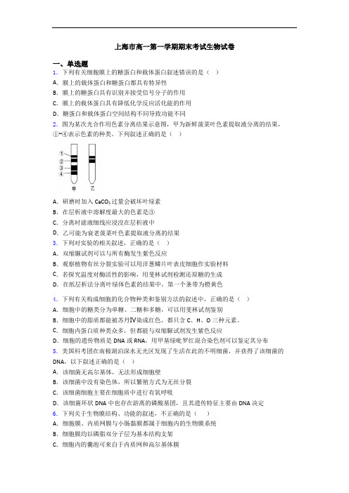 上海市高一第一学期期末考试生物试卷