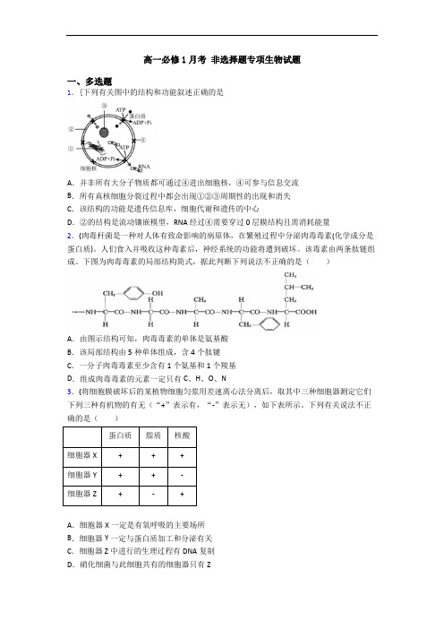 高一必修1月考 非选择题专项生物试题